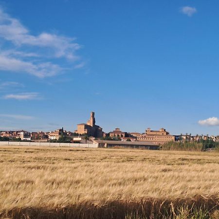 Apto Rural Alesves Esencia De Bardenas Navarra Villafranca Eksteriør billede